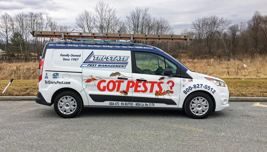 Vehicle Lettering Vehicle Lettering